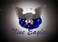 NINE EAGLES RADIO CONTROL